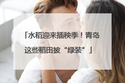 水稻迎来插秧季！青岛这些稻田披“绿装”