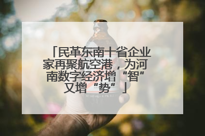 民革东南十省企业家再聚航空港，为河南数字经济增“智”又增“势”