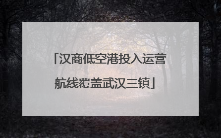 汉商低空港投入运营 航线覆盖武汉三镇