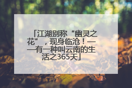 江湖别称“幽灵之花”，现身临沧！——有一种叫云南的生活之365天