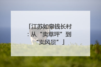 江苏如皋钱长村：从“卖草坪”到“卖风景”