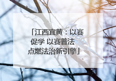 江西宜黄：以赛促学 以赛普法 点燃法治新引擎