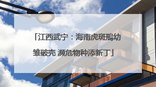 江西武宁：海南虎斑鳽幼雏破壳 濒危物种添新丁