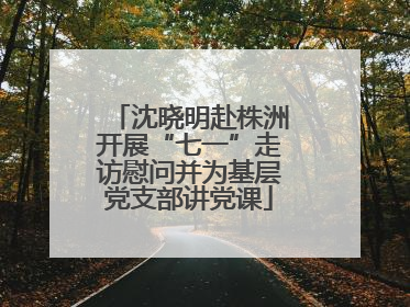 沈晓明赴株洲开展“七一”走访慰问并为基层党支部讲党课