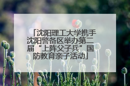 沈阳理工大学携手沈阳警备区举办第二届“上阵父子兵”国防教育亲子活动