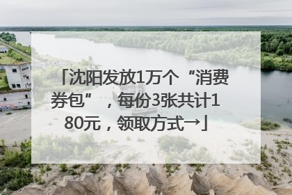 沈阳发放1万个“消费券包”，每份3张共计180元，领取方式→