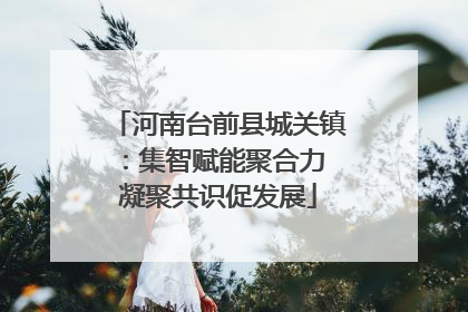 河南台前县城关镇：集智赋能聚合力 凝聚共识促发展
