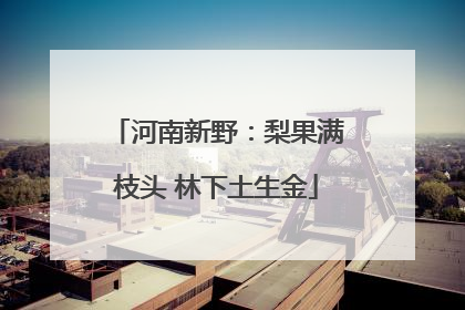 河南新野：梨果满枝头 林下土生金
