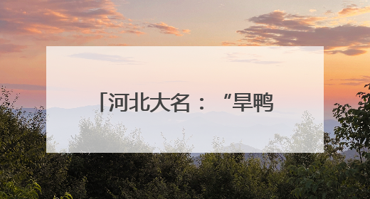 河北大名：“旱鸭子”英雄深水营救 托起沉没的希望