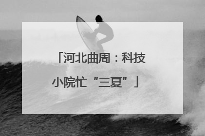河北曲周：科技小院忙“三夏”
