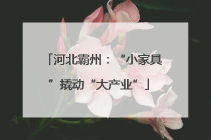 河北霸州：“小家具”撬动“大产业”