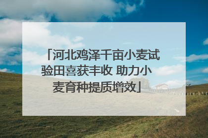 河北鸡泽千亩小麦试验田喜获丰收 助力小麦育种提质增效