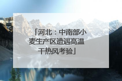 河北：中南部小麦生产区遭遇高温干热风考验