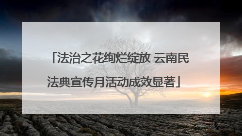 法治之花绚烂绽放 云南民法典宣传月活动成效显著