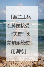 波兰士兵在韩国接受“天舞”火箭炮系统使用训练
