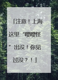 注意！上海这里“嘤嘤怪”出没！你见过没？！