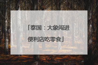 泰国：大象闯进便利店吃零食