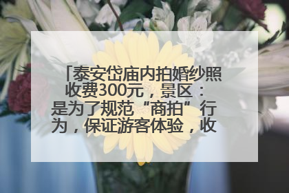 泰安岱庙内拍婚纱照收费300元，景区：是为了规范“商拍”行为，保证游客体验，收取费用全部上交国库