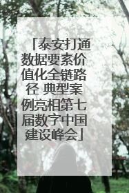 泰安打通数据要素价值化全链路径 典型案例亮相第七届数字中国建设峰会