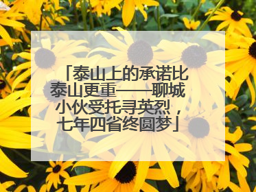 泰山上的承诺比泰山更重——聊城小伙受托寻英烈，七年四省终圆梦