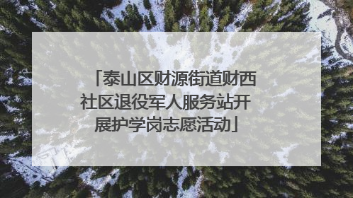 泰山区财源街道财西社区退役军人服务站开展护学岗志愿活动