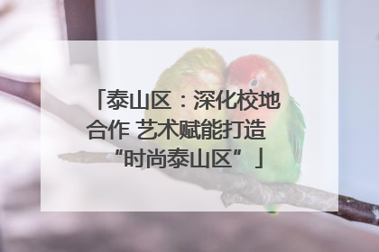 泰山区：深化校地合作 艺术赋能打造“时尚泰山区”