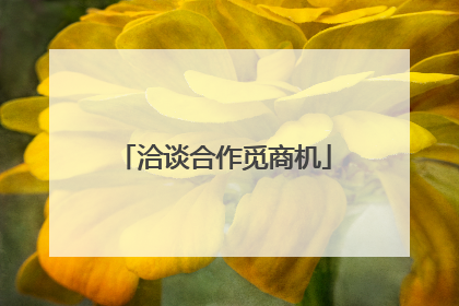 洽谈合作觅商机