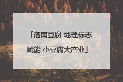 洛南豆腐 地理标志赋能 小豆腐大产业