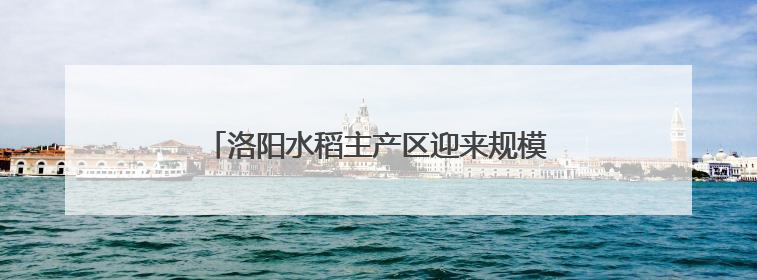 洛阳水稻主产区迎来规模化、机械化“二次变革”