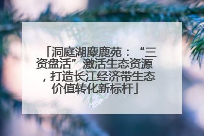 洞庭湖麋鹿苑：“三资盘活”激活生态资源，打造长江经济带生态价值转化新标杆