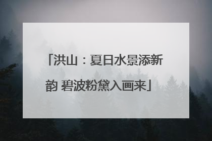 洪山：夏日水景添新韵 碧波粉黛入画来