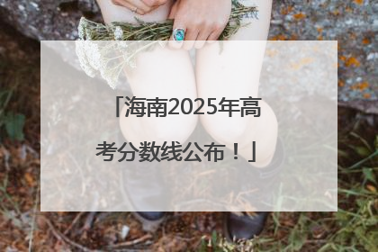 海南2025年高考分数线公布！