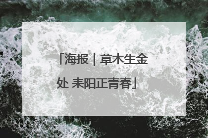 海报｜草木生金处 耒阳正青春