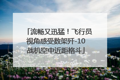流畅又迅猛！飞行员视角感受数架歼-10战机空中近距格斗