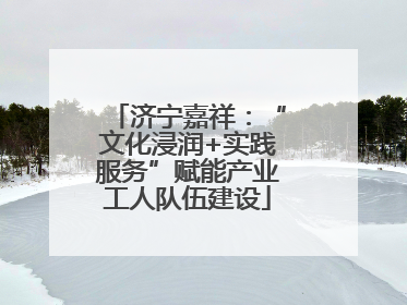 济宁嘉祥：“文化浸润+实践服务”赋能产业工人队伍建设
