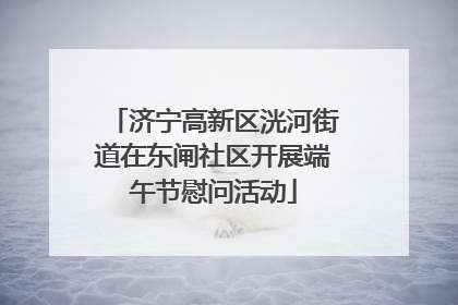 济宁高新区洸河街道在东闸社区开展端午节慰问活动
