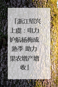 浙江绍兴上虞：电力护航杨梅成熟季 助力果农增产增收