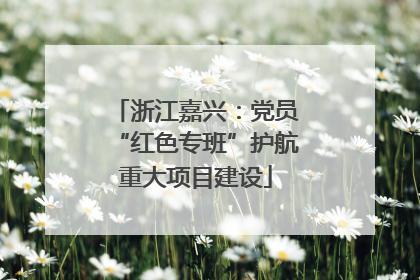 浙江嘉兴：党员“红色专班”护航重大项目建设