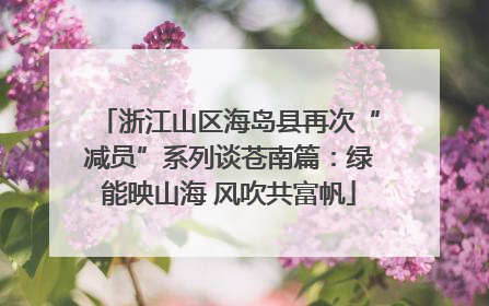 浙江山区海岛县再次“减员”系列谈苍南篇：绿能映山海 风吹共富帆