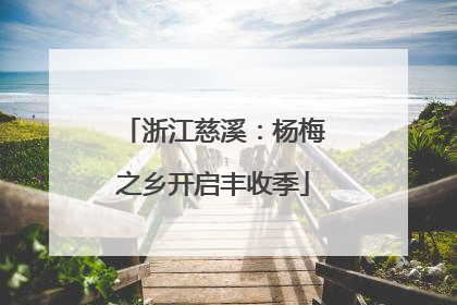 浙江慈溪：杨梅之乡开启丰收季