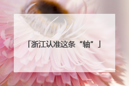浙江认准这条“轴”