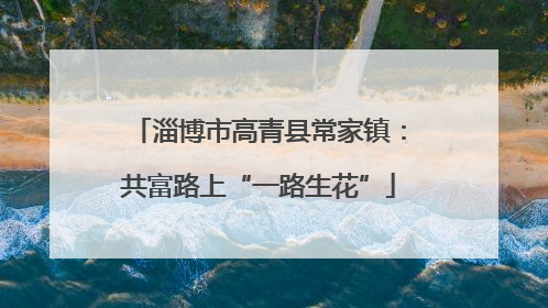 淄博市高青县常家镇：共富路上“一路生花”