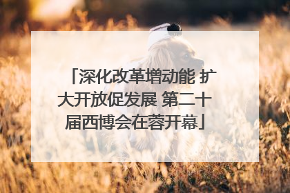 深化改革增动能 扩大开放促发展 第二十届西博会在蓉开幕