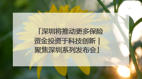 深圳将推动更多保险资金投资于科技创新｜聚焦深圳系列发布会