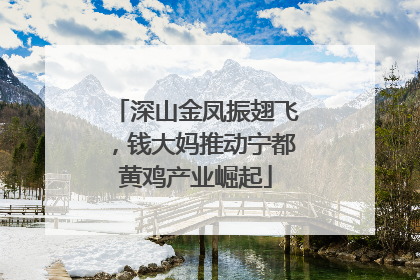 深山金凤振翅飞，钱大妈推动宁都黄鸡产业崛起