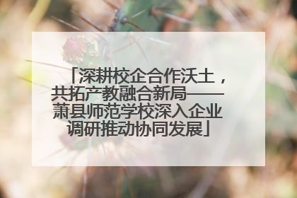 深耕校企合作沃土，共拓产教融合新局——萧县师范学校深入企业调研推动协同发展