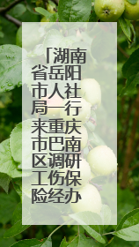湖南省岳阳市人社局一行来重庆市巴南区调研工伤保险经办管理工作