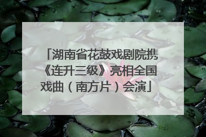湖南省花鼓戏剧院携《连升三级》亮相全国戏曲（南方片）会演