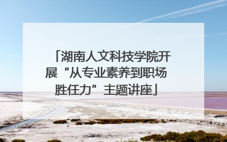 湖南人文科技学院开展“从专业素养到职场胜任力”主题讲座