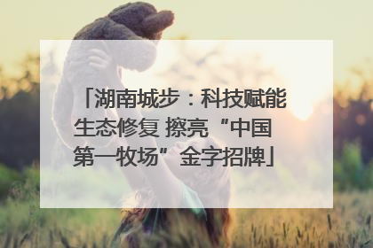 湖南城步：科技赋能生态修复 擦亮“中国第一牧场”金字招牌